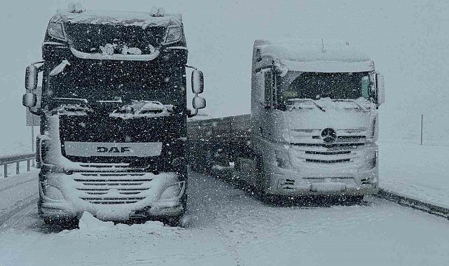 Van'da kar yağışı
