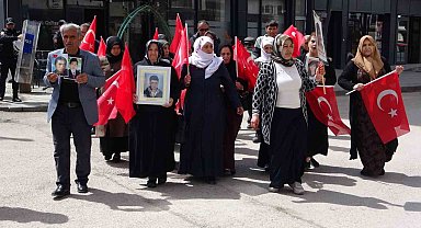 Vanlı annelerin evlat nöbeti 99'uncu haftasında