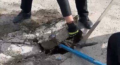 Yağmur suyu hattına düşen yavru ördek kurtarıldı