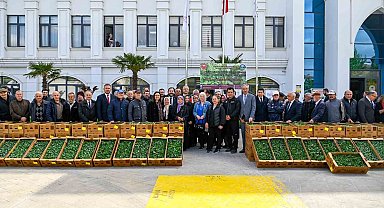Yalova'da çiftçilere 375 bin adet sebze fidesi dağıtıldı