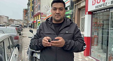 Yaralı sandığı ebabili evinde besledi, daha sonra doğaya bıraktı