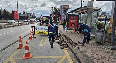 Yaya yollarına konforlu dokunuş