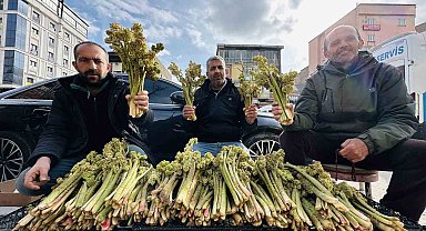 Yayla muzunun destesi 100 TL'den satışa çıkarıldı