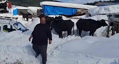 Yaylada hayvanlarıyla mahsur kalan vatandaş kurtarıldı