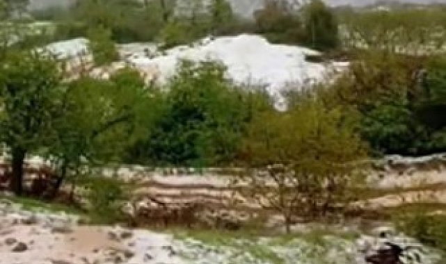 Yaz geldi derken, İzmir Ödemiş beyaza büründü