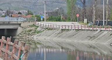 Yeşilırmak Nehri'nde balık ölümleri incelemeye alındı