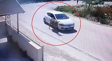 Yol artasındaki eşeği ezdi