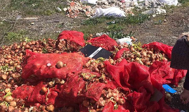 Yol kenarına dökülen soğanlara vatandaşlardan tepki