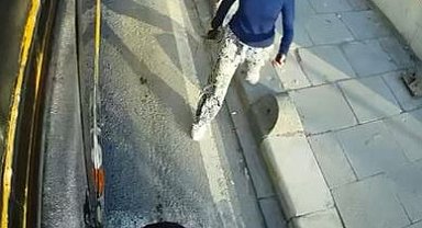 Yol vermediği gerekçesiyle İETT otobüsüne saldırıp camını kırdılar, o anlar kamerada