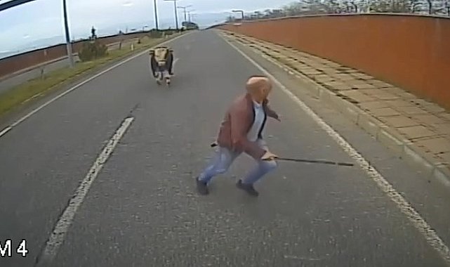 Yola çıkan ineği uzaklaştırmak isterken neye uğradığını şaşırdı