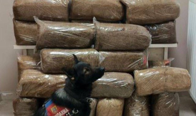 Yolcu otobüsünde kaçak tütün ele geçirildi