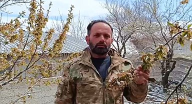 Yozgat'ta zirai don meyve ağaçlarını vurdu