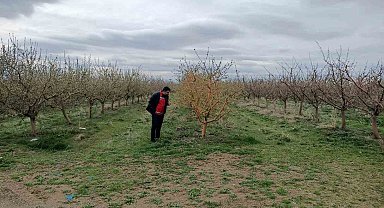 Yozgat'ta zirai don, üreticileri zarara uğrattı