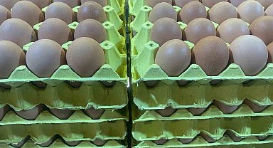 Yumurta fiyatları "mayıs çukuru" yaklaşınca düşüşe geçti