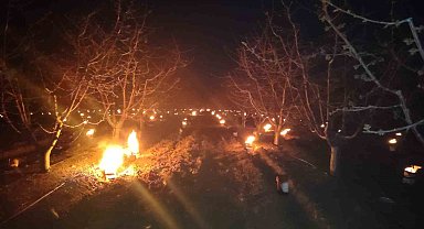 Zirai dona karşı gece nöbeti