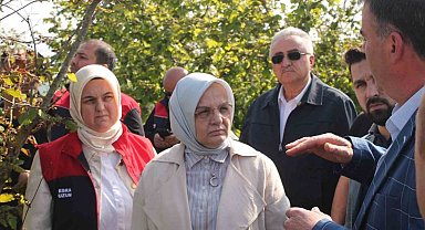 Zirai donun etkilediği yerde inceleme