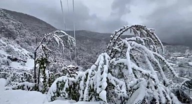Zonguldak'ın yüksek kesimlerinde kar etkili oldu