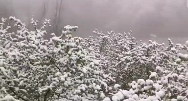 Zonguldak'ta Nisan ayında kar sürprizi