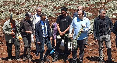 14 Mayıs Dünya Çiftçiler Günü sarımsak tarlasında kutlandı