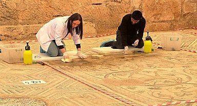 'Cennet Bahçesi' mozaiğinde restorasyon ve konservasyon başladı