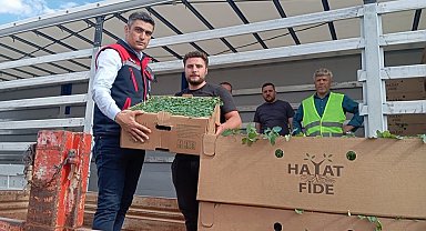 'Domates Yetiştiriciliğinin Geliştirilmesi' projesi sürüyor