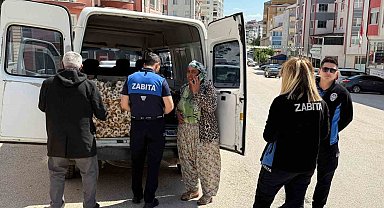 'Taşköprü sarımsağı' diye satılan ürünün 'Çin sarımsağı' olduğu tespit edildi