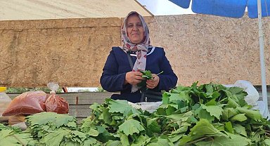 5 çocuk annesi, asma yaprağı satarak aile ekonomisine destek oluyor