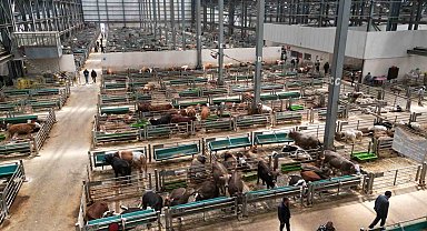 5 yılda 2 milyon kişi ziyaret etti