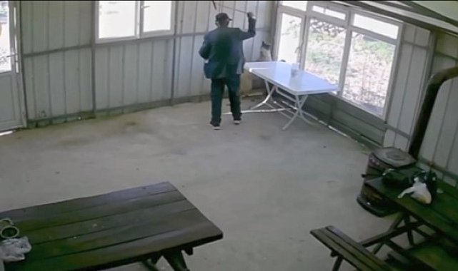 81 yaşındaki şahıs köy kahvesinde bakılan köpeğe dehşeti yaşattı