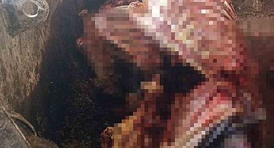 Adana'da 2,5 ton at eti ele geçirildi