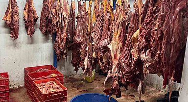 Adana'da 3 ton bozulmuş at eti ele geçirildi