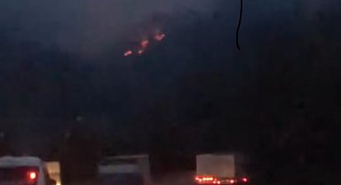 Adana'da iki noktada çıkan orman yangınları kontrol altına alındı