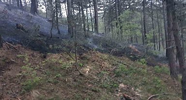 Afyonkarahisar'da orman yangını