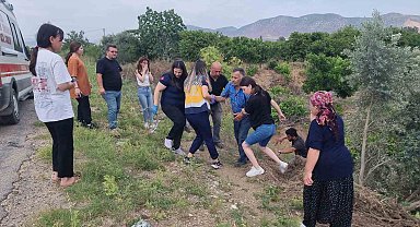 Ağaç ve emniyet kemeri hayat kurtardı: Takla atan otomobilde burnu bile kanamadı