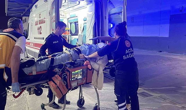 Ağaca çarpan otomobilin sürücüsü ağır yaralandı