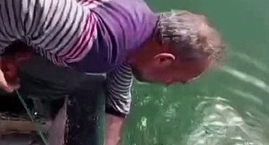 Ağlara değil, kalplere takıldı: Karasu'da yunusu kurtarıp esprili sözlerle uğurladı