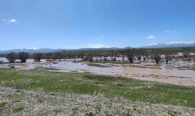 Ağrı'da Murat Nehri taştı araziler sular altında kaldı