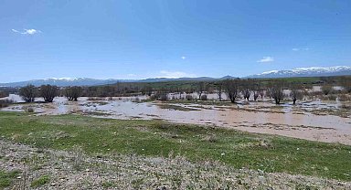 Ağrı'da Murat Nehri taştı araziler sular altında kaldı