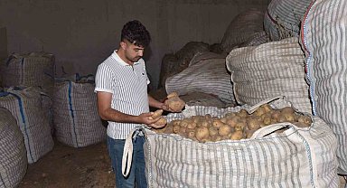 Ahlat'ta binlerce ton patates alıcı bekliyor
