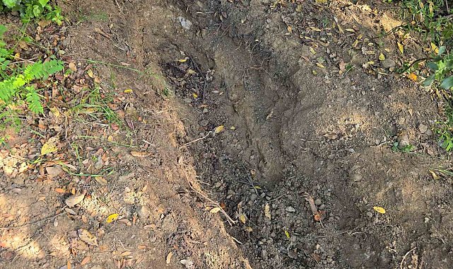 Ailesinin kayıp ihbarı cinayeti ortaya çıkardı