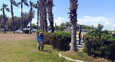 Akdeniz'de park ve bahçelere yaz bakımı