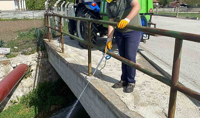 Alaca Belediyesi'nden sivrisineklerle etkin mücadele