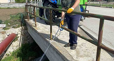 Alaca Belediyesi'nden sivrisineklerle etkin mücadele