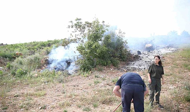 Alanya'da makilik alanda yangın