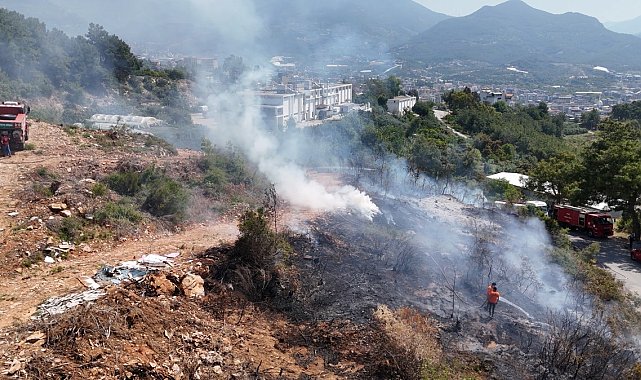 Alanya'da makilik alandaki yangın ormana sıçramadan söndürüldü