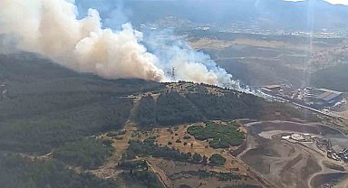 Aliağa'da orman yangını