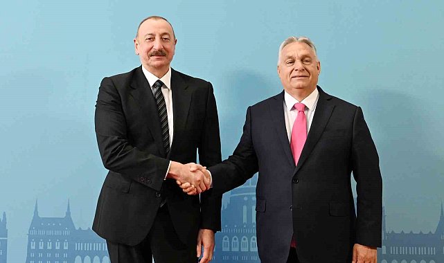 Aliyev, TDT Zirvesi'ne katılmak üzere Varkert Bazar'da