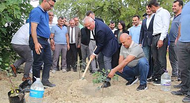 ALTSO keçiboynuzunun tescilini aldı, 3 bin fidan dağıttı