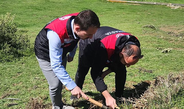 Amasya'da tarım ekipleri süne sürvey çalışmalarını sürdürüyor