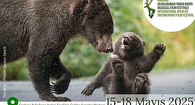 Ankara Uluslararası Yaban Hayatı Belgesel Film Festivali Ankara'da gerçekleşecek